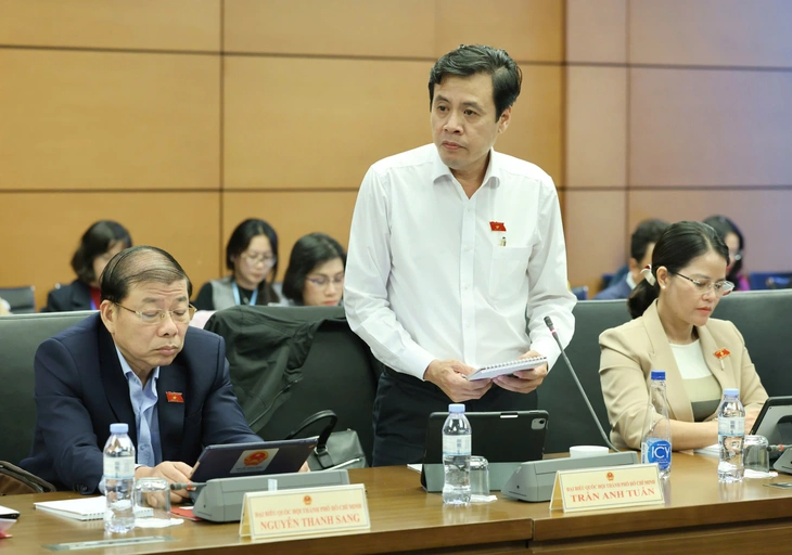 Trần Lưu Quang - Ảnh 3.