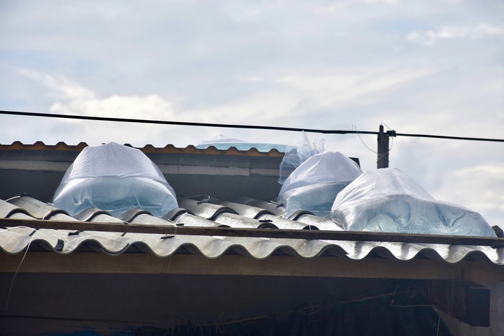 Dân bán tháo tôm hùm chạy bão số 13 (Kalmaegi)- Ảnh 8. tôm hùm - Ảnh 8.