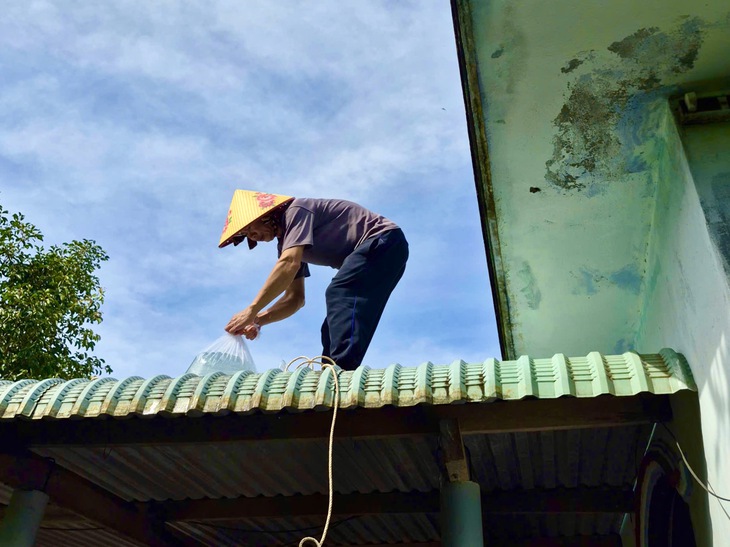 Dân bán tháo tôm hùm chạy bão số 13 (Kalmaegi)- Ảnh 7. tôm hùm - Ảnh 7.