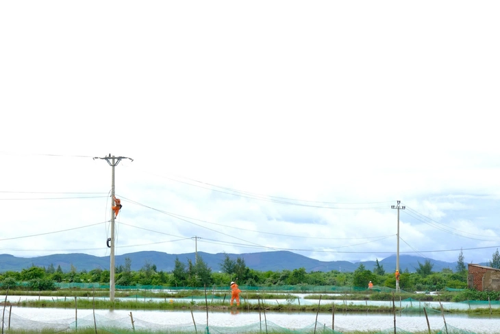 bão số 13 - Ảnh 3.