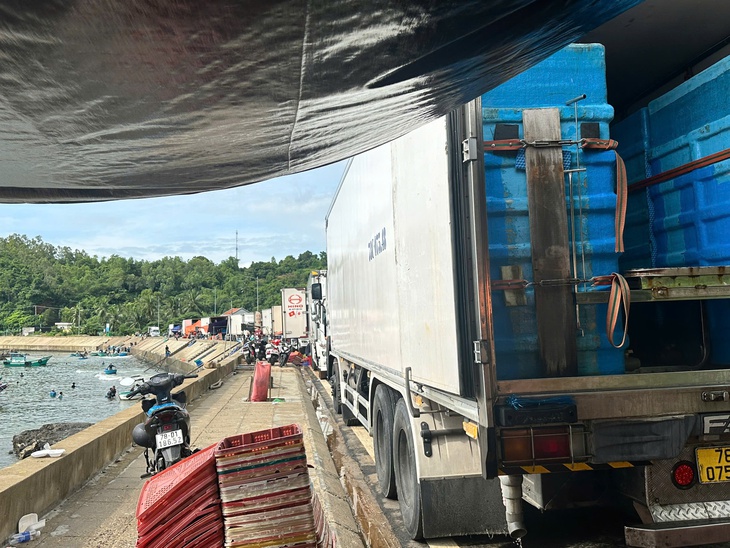 Dân bán tháo tôm hùm chạy bão số 13 (Kalmaegi)- Ảnh 4. Dân bán tháo tôm hùm chạy bão số 13 - Ảnh 3.