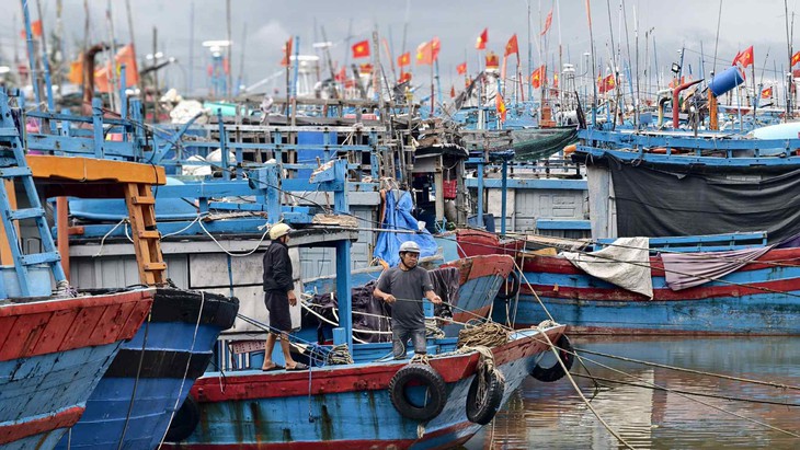 Quảng Ngãi kêu gọi hơn 6.000 tàu cá tránh bão số 13 - Ảnh 1.