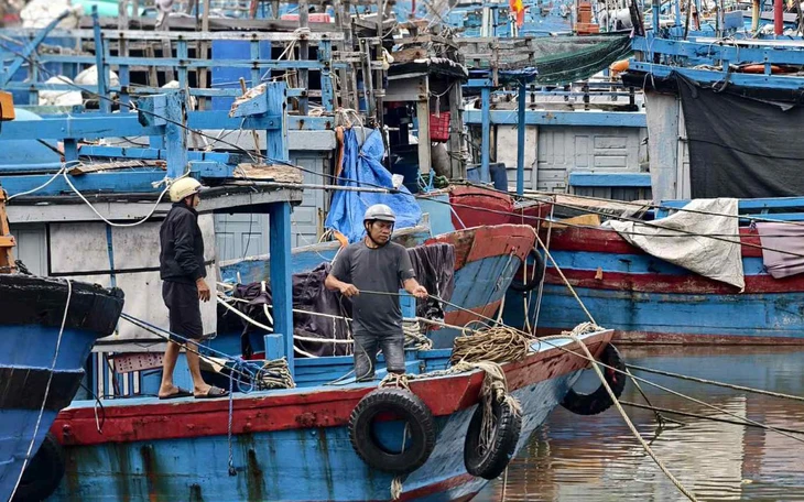 Sóng lớn chưa từng thấy đánh "chổng vó" hàng phi lao hàng chục năm tuổi ở biển Quảng Ngãi - Ảnh 12.