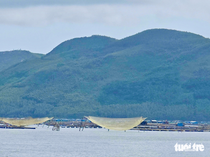Làm sao giảm thiểu thiệt hại thủy sản nuôi do sốc nước ngọt sau bão lũ?- Ảnh 1. Làm sao giảm thiểu thiệt hại thủy sản nuôi do sốc nước ngọt sau bão lũ? - Ảnh 1.