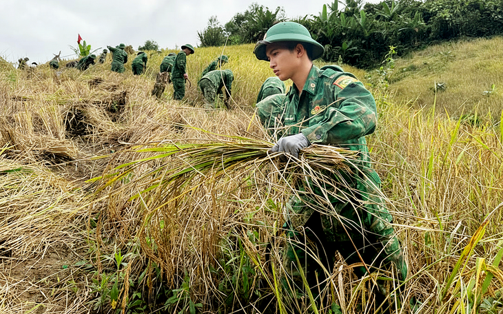 Trợ lý ảo thủ tục hành chính 3 ngôn ngữ - Ảnh 2.
