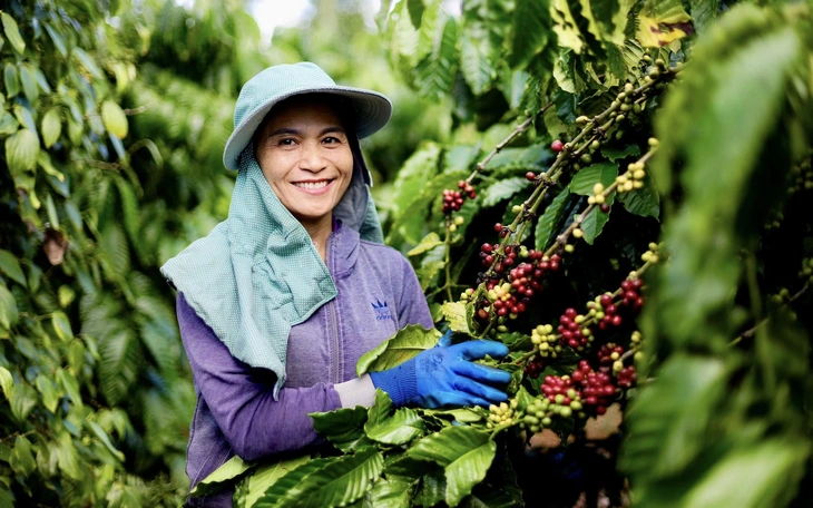 Hướng tới tương lai xanh, thịnh vượng - Ảnh 4.