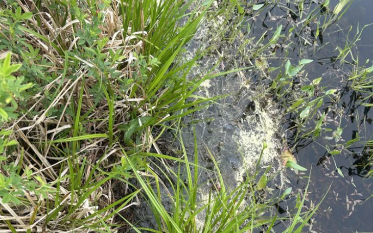 Nhìn ai ăn mặc thời thượng nhất, đoán ngay 'phiên bản thật' của bạn - Ảnh 5.