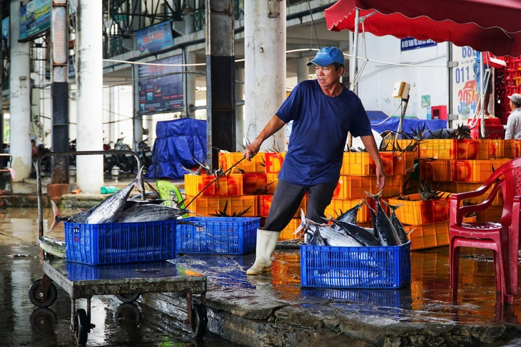 Sơ tán dân vùng sạt lở ở Nha Trang trước bão Kalmaegi- Ảnh 3.