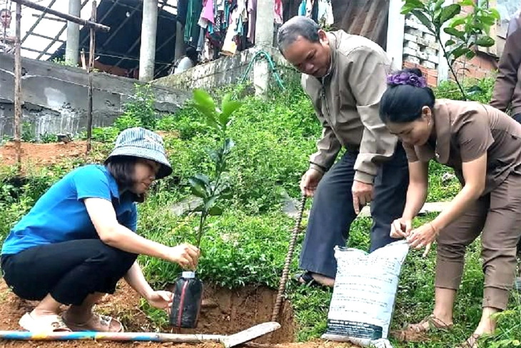 Giải bài toán thoát nghèo cùng bạn trẻ Cơ Tu - Ảnh 2. thoát nghèo - Ảnh 2.