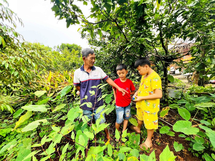 dựng rạp - Ảnh 2.