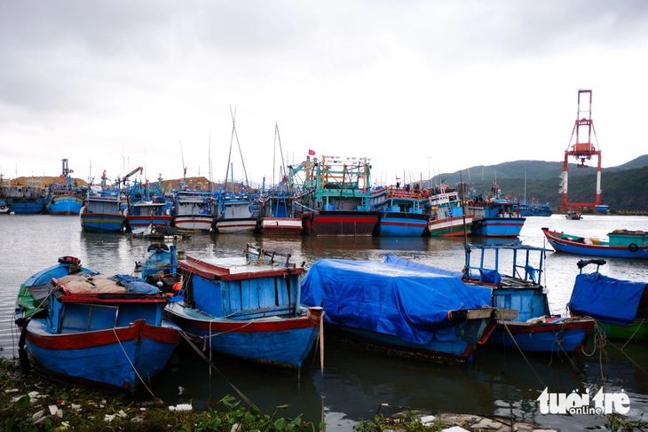 bão Kalmaegi - Ảnh 2.