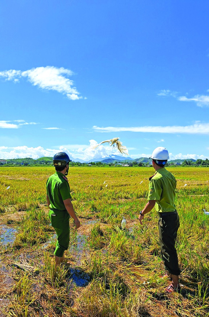chim trời - Ảnh 1.
