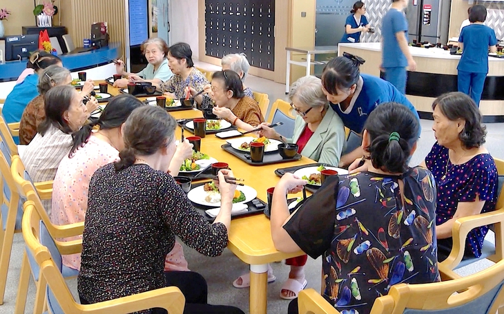 Viện dưỡng lão bán trú: Lối ra khi dân số già - Ảnh 1. dưỡng lão bán trú - Ảnh 1.