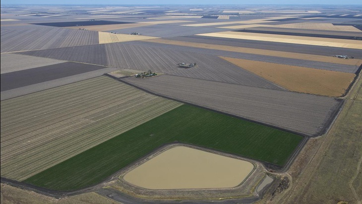 đất nông nghiệp - Ảnh 1.