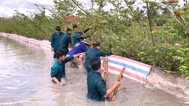 Đồng bằng sông Cửu Long vào đợt triều cường mới cao hơn mức báo động 3 40cm - Ảnh 1.
