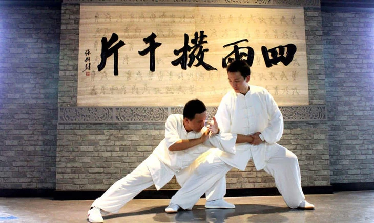 kung fu - Ảnh 4.
