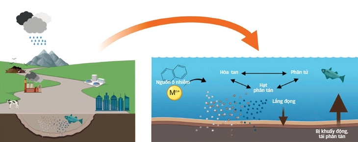  ngập lụt  - Ảnh 1.
