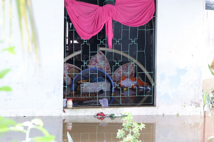 Vỡ đê bao - Ảnh 3.