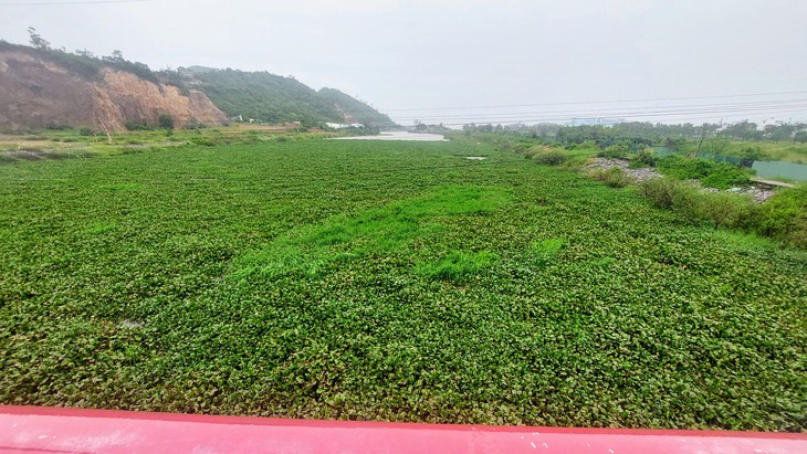 Nha Trang - Ảnh 3.