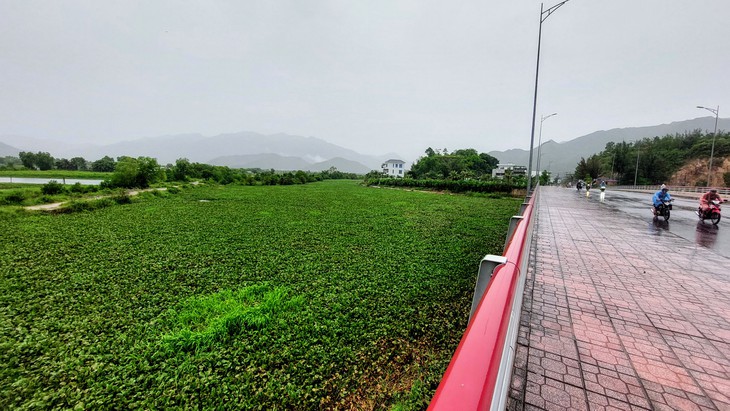 Nha Trang - Ảnh 2.