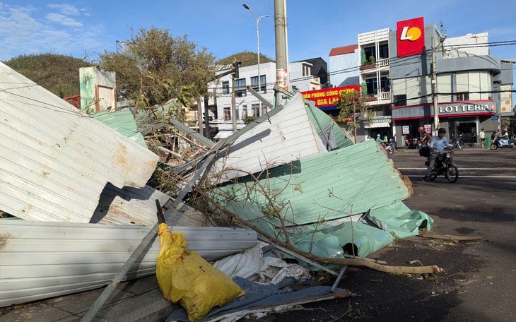 Công ty điện lực, cây xanh ở Đà Nẵng chi viện cho Gia Lai khắc phục hậu quả bão số 13 - Ảnh 3.