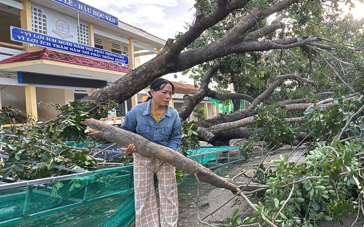 Thiệt hại do bão Kalmaegi gây ra ở Gia Lai tăng lên đến 5.000 tỉ đồng- Ảnh 2.