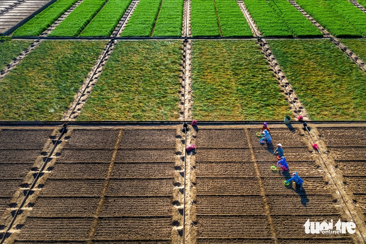 Góp ý văn kiện Đại hội Đảng XIV: Xây nền vững cho một Việt Nam xanh và số - Ảnh 1. kinh tế xanh - Ảnh 1.