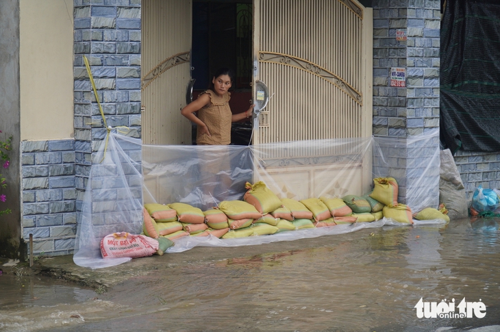 Người dân dọc sông Tiền chật vật ứng phó triều cường - Ảnh 1.