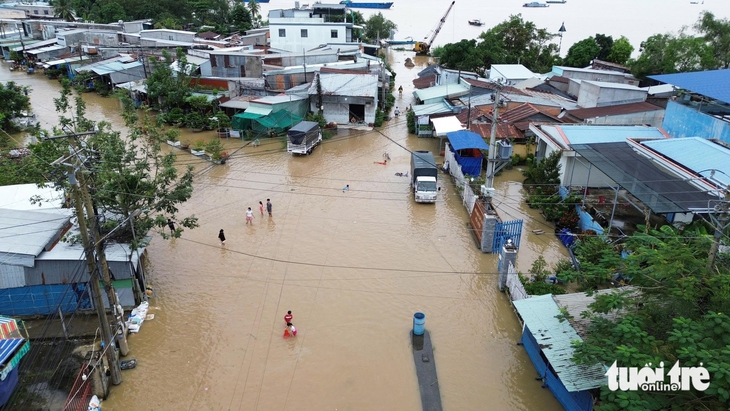 Người dân dọc sông Tiền chật vật ứng phó triều cường - Ảnh 2.