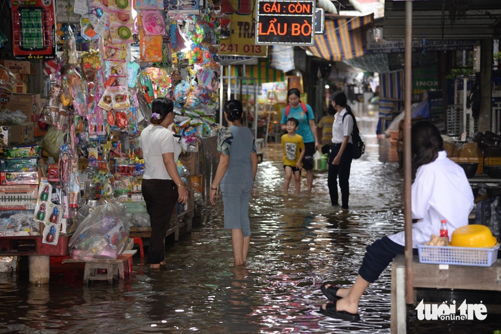 Người dân dọc sông Tiền chật vật ứng phó triều cường - Ảnh 4.