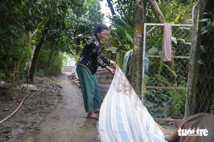 Người dân dọc sông Tiền chật vật ứng phó triều cường - Ảnh 4.