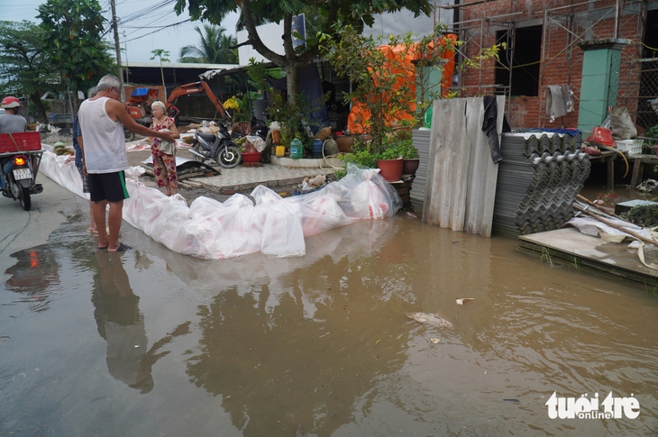 Người dân dọc sông Tiền chật vật ứng phó triều cường - Ảnh 7.