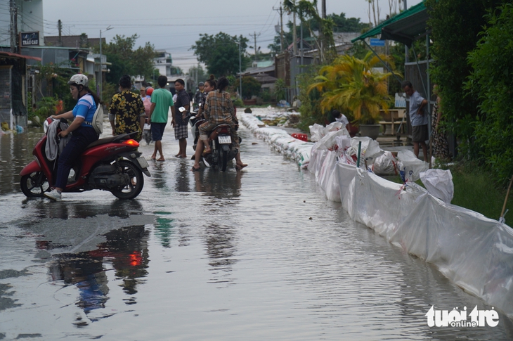 Người dân dọc sông Tiền chật vật ứng phó triều cường - Ảnh 7.