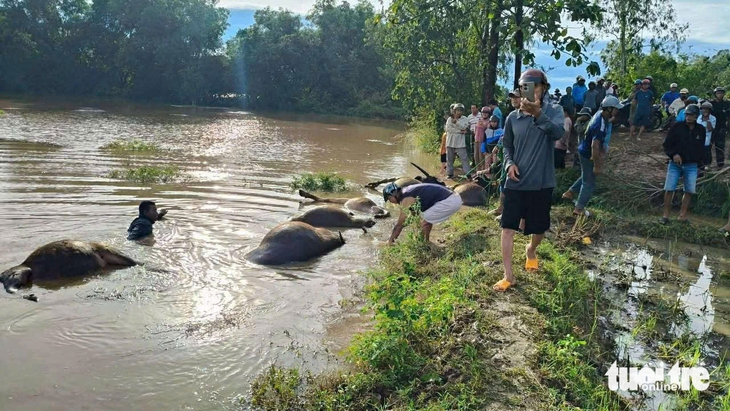 Ngập nặng ở xã biên giới Đắk Lắk, phải sơ tán hơn 500 hộ dân- Ảnh 2. Ngập nặng ở xã biên giới Đắk Lắk, phải sơ tán hơn 500 hộ dân- Ảnh 2.