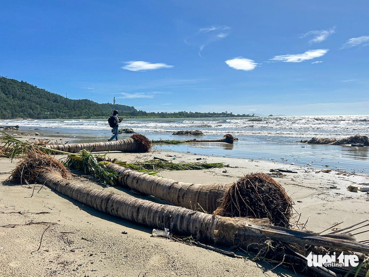 Đà Nẵng - Ảnh 3.