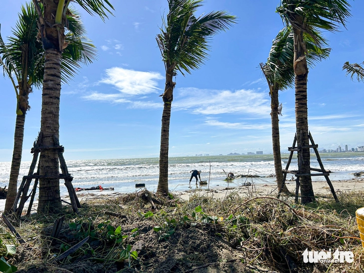 Đà Nẵng - Ảnh 7.