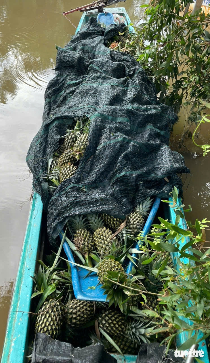 Bắt 4 người chuyên đi trộm trái khóm và vỏ lãi của người dân - Ảnh 2.