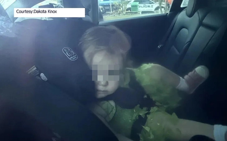 Em bé mắc kẹt 30 phút trong xe điện do lỗi ắc quy 12V, gia đình phải nhờ ChatGPT để mở cửa - Ảnh 6.