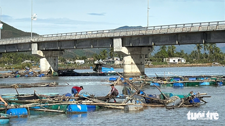 Cố gượng dậy sau thiệt hại nặng nề do bão Kalmaegi- Ảnh 3. bão số 13 - Ảnh 3.