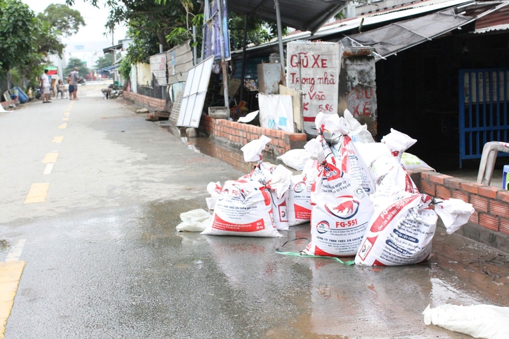 triều cường - Ảnh 1.