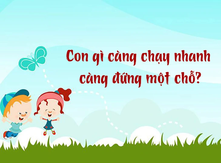 câu đố - Ảnh 1.