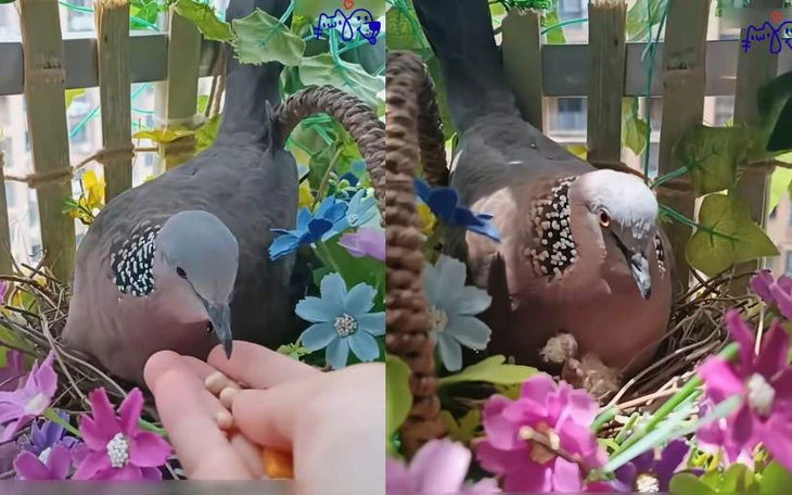 Hà Huy Thanh trở lại với cuốn sách về tình thương trong thời đại AI - Ảnh 3.