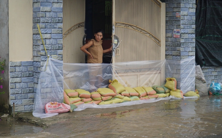 Triều cường làm ngập 615ha khóm và hoa màu gây thiệt hại nặng - Ảnh 2.
