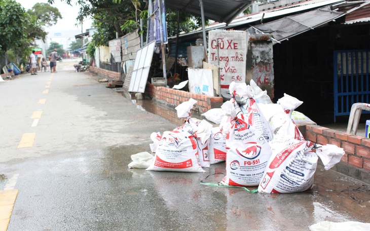 Nhà vườn trồng sầu riêng chi hàng trăm triệu xây tường ngăn thủy triều - Ảnh 8.