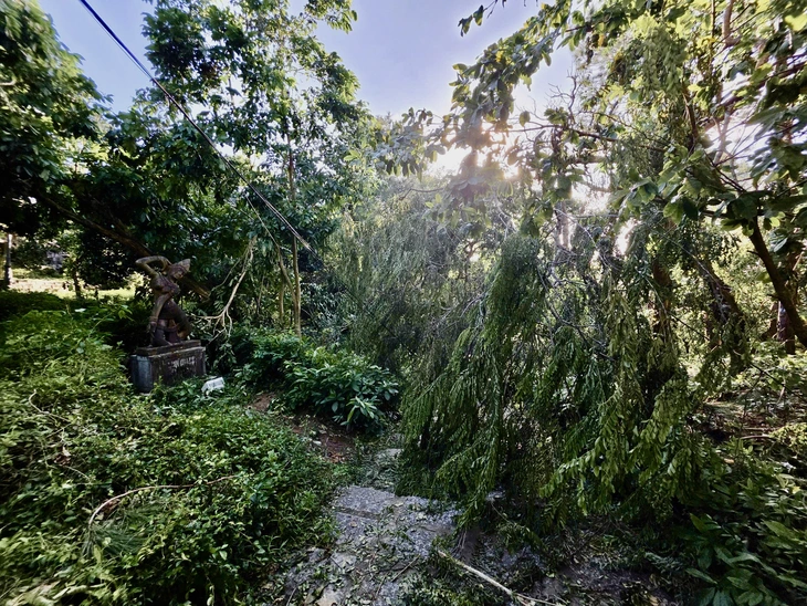 Tháp Nhạn - Ảnh 4.