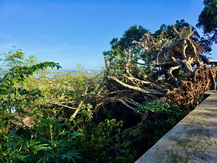 Tháp Nhạn - Ảnh 5.