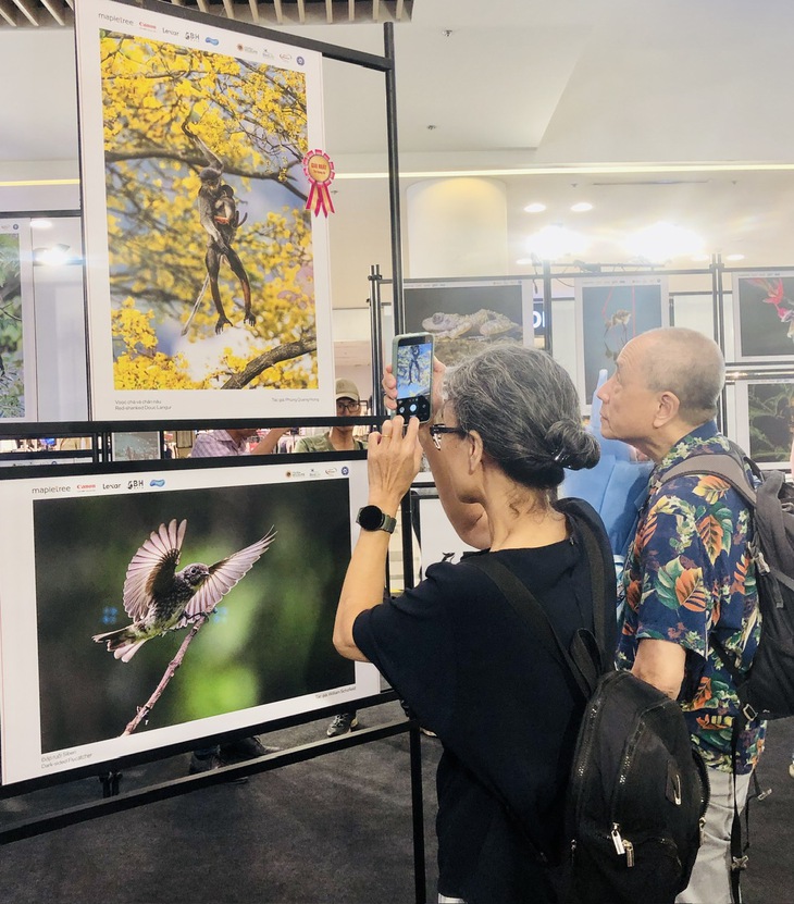 thiên nhiên hoang dã - Ảnh 6.