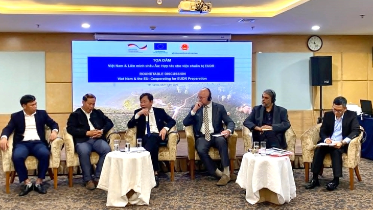 phá rừng - Ảnh 1.