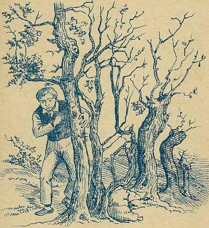 khuôn mặt - Ảnh 1.