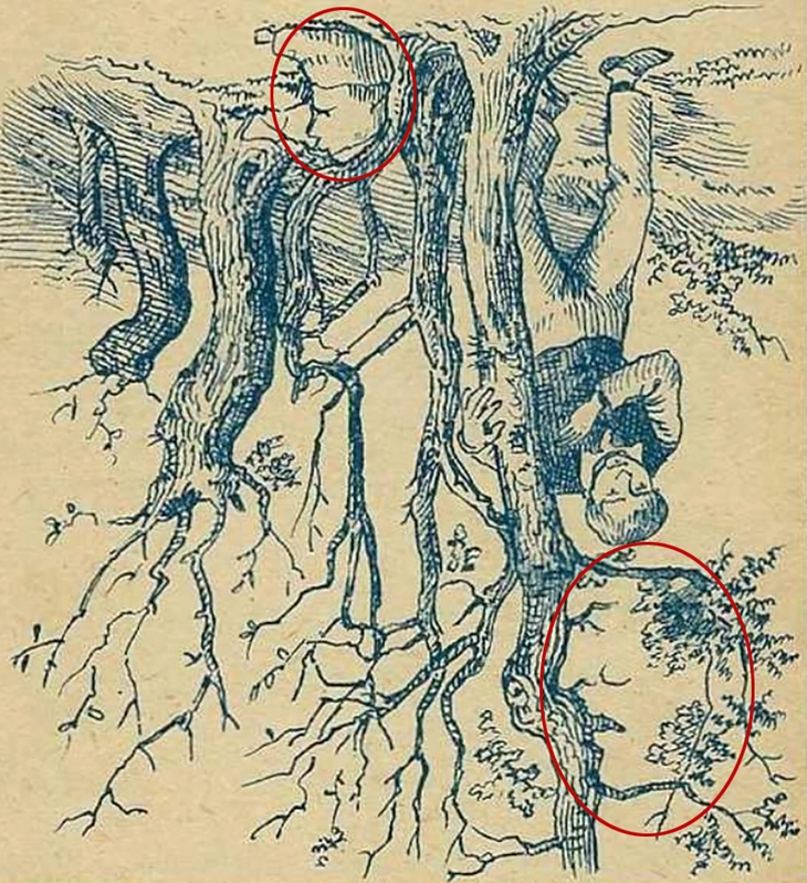 khuôn mặt - Ảnh 2.